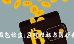 :TP钱包被盗：应对措施与防护指南