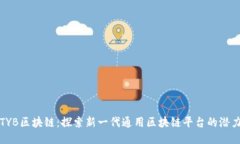TYB区块链：探索新一代通用区块链平台的潜力