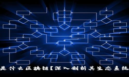 SUSHI是什么区块链？深入剖析其生态系统与功能
