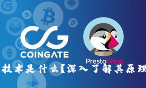 区块链技术是什么?深入了解其原理与应用
