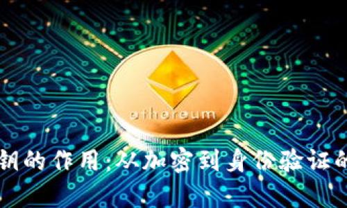 区块链密钥的作用:从加密到身份验证的全面解析