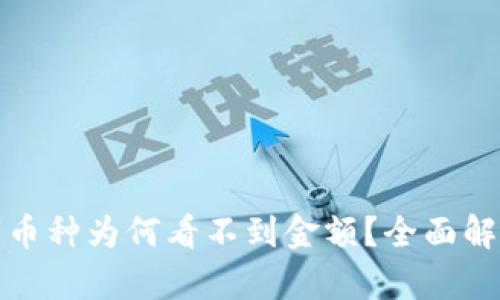 TP钱包新上市币种为何看不到金额?全面解析及解决方案