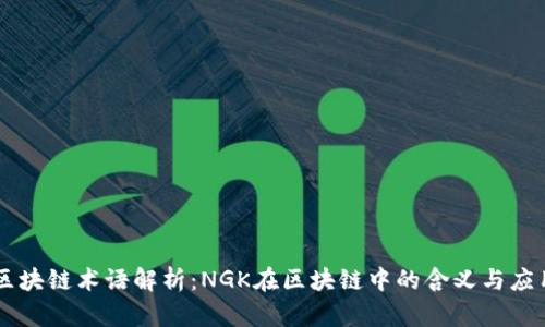 区块链术语解析:NGK在区块链中的含义与应用