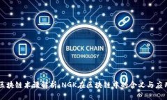 区块链术语解析：NGK在区块链中的含义与应用