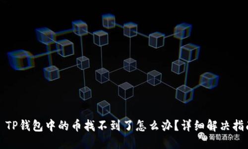 : TP钱包中的币找不到了怎么办?详细解决指南