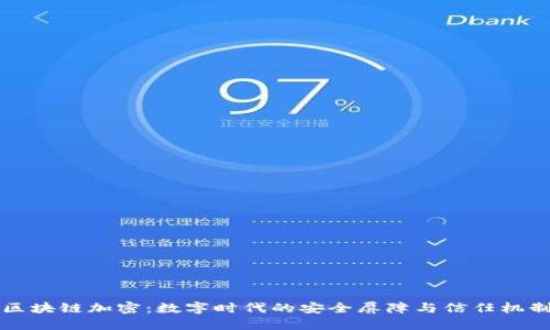 区块链加密:数字时代的安全屏障与信任机制