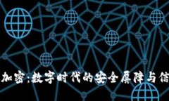 区块链加密：数字时代的安全屏障与信任机制
