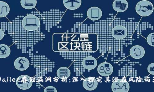 TPWallet存储漏洞分析：深入探究其潜在风险与影响