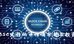 TPWalletBSC发行的币行情分析及投资前景探讨