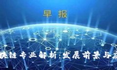 云南区块链专业解析：发展前景与应用领域