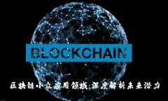区块链小众应用领域：深度解析未来潜力