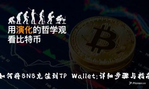 如何将BNB充值到TP Wallet：详细步骤与指南