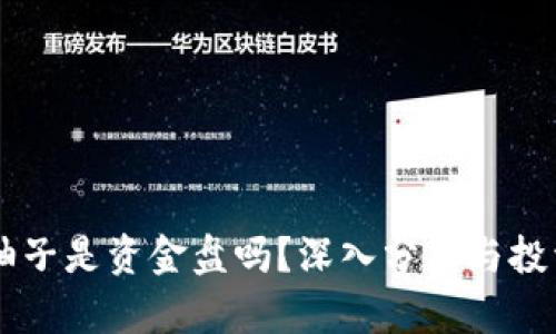 TPWallet柚子是资金盘吗？深入分析与投资风险提示