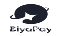 中国领先的区块链项目全景解析：发展现状与未