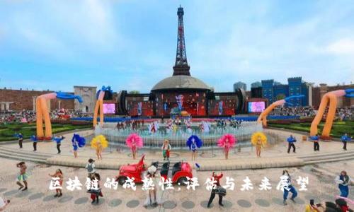 区块链的成熟性：评估与未来展望