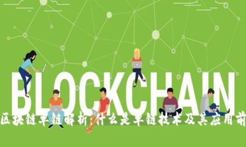 : 区块链单链解析：什么是单链技术及其应用前景