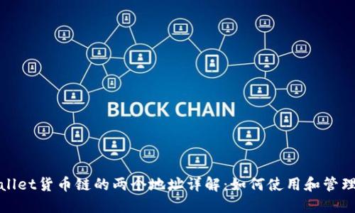 TPWallet货币链的两个地址详解：如何使用和管理资金