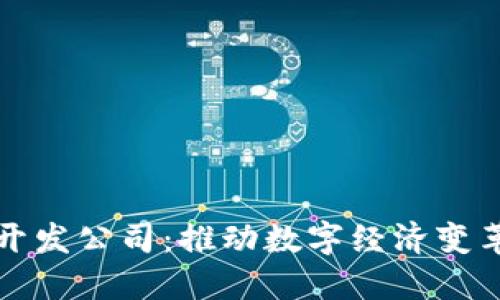 区块链开发公司：推动数字经济变革的先锋