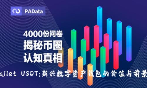 TPWallet USDT：新兴数字资产钱包的价值与前景探析