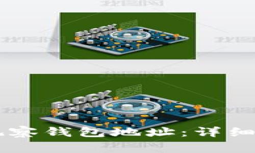 如何使用TPWallet观察钱包地址：详细指南与常见问题解析