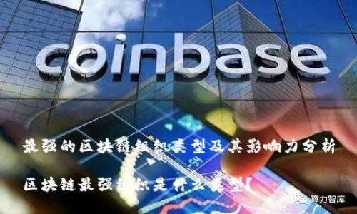 最强的区块链组织类型及其影响力分析

区块链最强组织是什么类型？