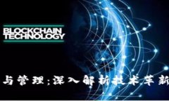 区块链的发展与管理：深入解析技术革新及其应