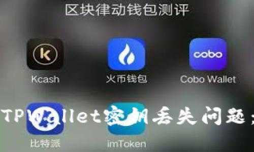 如何处理TPWallet密钥丢失问题：全面指南