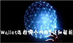 提BNB到TPWallet选择哪个网络？详细解析与实用指南