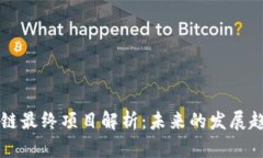 国内区块链最终项目解析：未来的发展趋势与挑