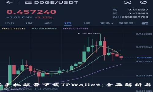 苹果手机能否下载TPWallet：全面解析与指导