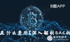 区块链BAC是什么意思？深入解析BAC的概念与应用