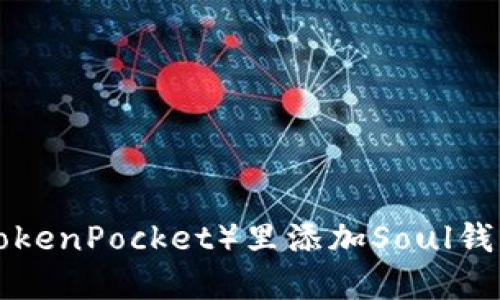 如何在TP（TokenPocket）里添加Soul钱包：完整指南