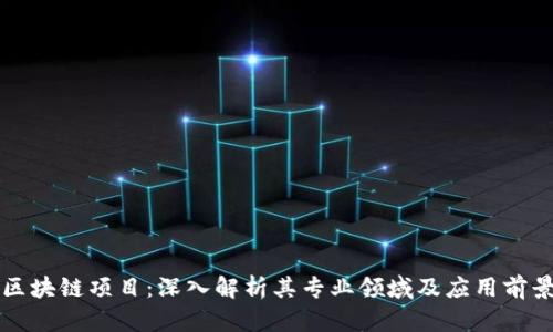 区块链项目：深入解析其专业领域及应用前景