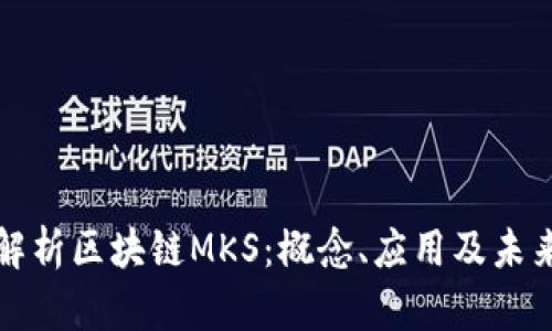 深入解析区块链MKS：概念、应用及未来发展