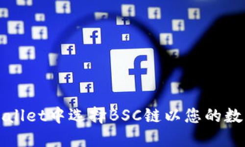 如何在TPWallet中选择BSC链以您的数字资产管理