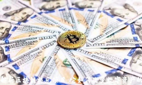 
深入解析区块链极光项目：它如何改变数字资产的未来