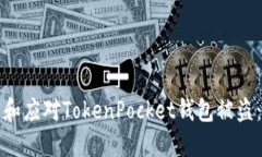 如何预防和应对TokenPocket钱包被盗：完整指南