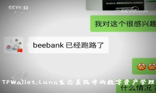 探索TPWallet：Luna生态系统中的数字资产管理工具