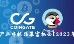 如何在区块链产业中抓住暴富机会？2023年最新趋