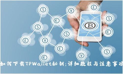 如何下载TPWallet秘钥：详细教程与注意事项