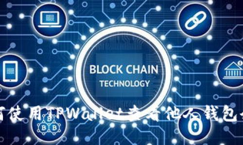 如何使用TPWallet查看他人钱包余额