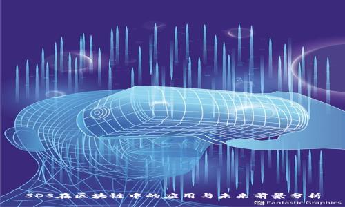 SDS在区块链中的应用与未来前景分析