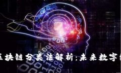 澳大利亚区块链分类法解析：未来数字经济的蓝