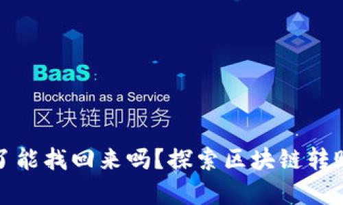 : tpwallet转账转错了能找回来吗？探索区块链转账误操作后的解决方案