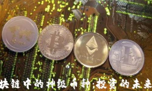 
探索区块链中的神级币种：投资的未来与机遇