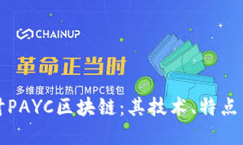 : 深入探讨PAYC区块链：其技术、特点与未来展望