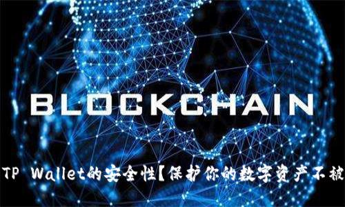 如何确保TP Wallet的安全性？保护你的数字资产不被他人查看