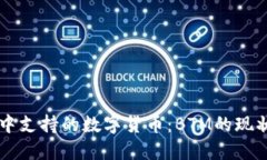 在TPWallet中支持的数字货币：BTM的现状与详细解读