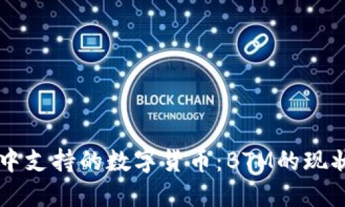 在TPWallet中支持的数字货币：BTM的现状与详细解读