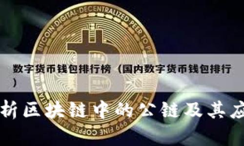 深入解析区块链中的公链及其应用前景